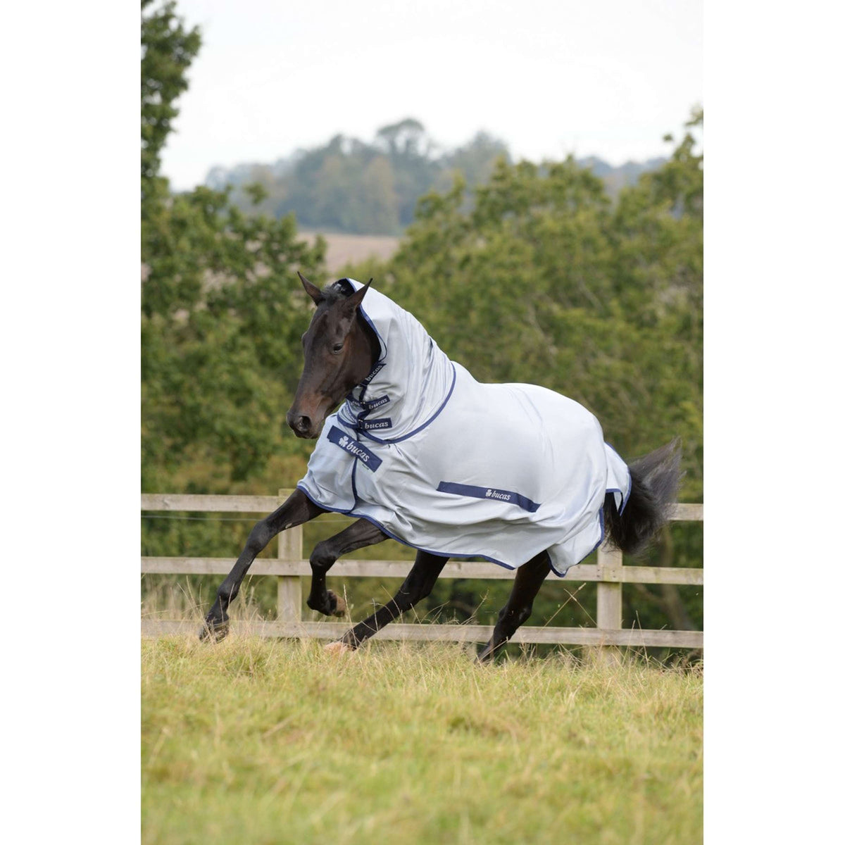 Bucas Ronzio fuori & Neck Blu