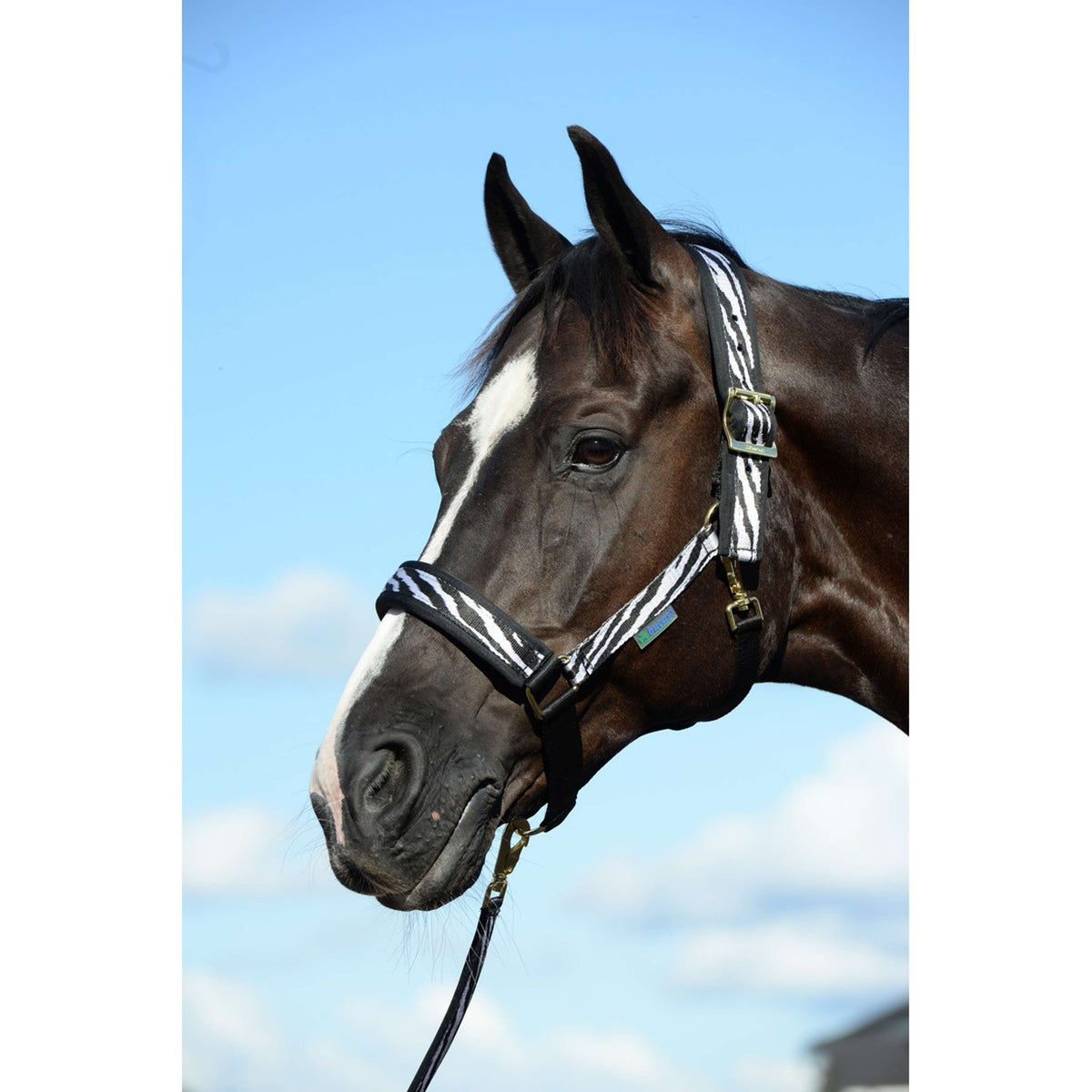 Bucas Capezzina Comfort Zebra