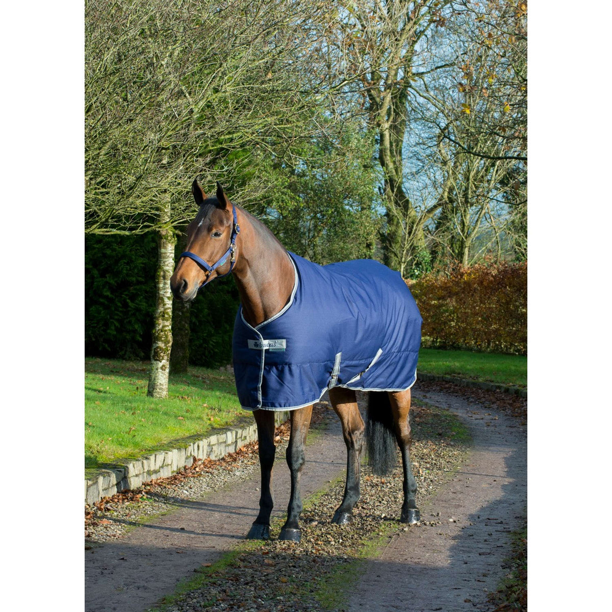 Bucas Freedom Coperta da Scuderia 150g Navy