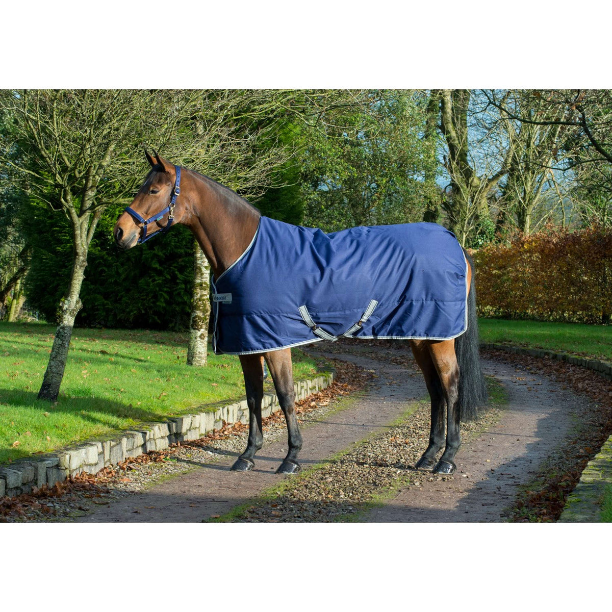 Bucas Freedom Coperta da Scuderia 150g Navy