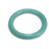Beeztees Ring Gomma Massiccia Mint