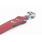 Beeztees Guinzaglio Rosso