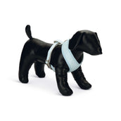 Beeztees Pettorina Harno Blu