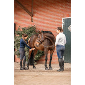 Bense & Eicke Bense & Eicke Trattamenti per cavalli