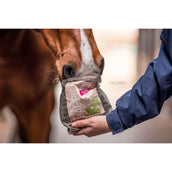 Bense & Eicke Dolcetti per Cavalli Wiesen Happies