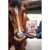 Bense & Eicke Dolcetti per Cavalli Wiesen Happies