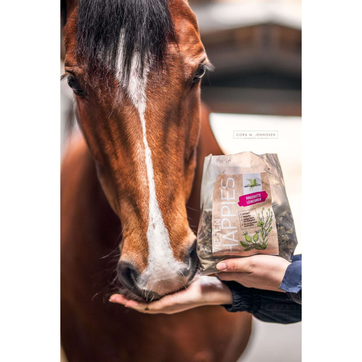 Bense & Eicke Dolcetti per Cavalli Wiesen Happies