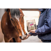 Bense & Eicke Dolcetti per Cavalli Wiesen Happies
