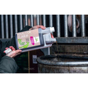 Bense & Eicke Elisir alle Erbe