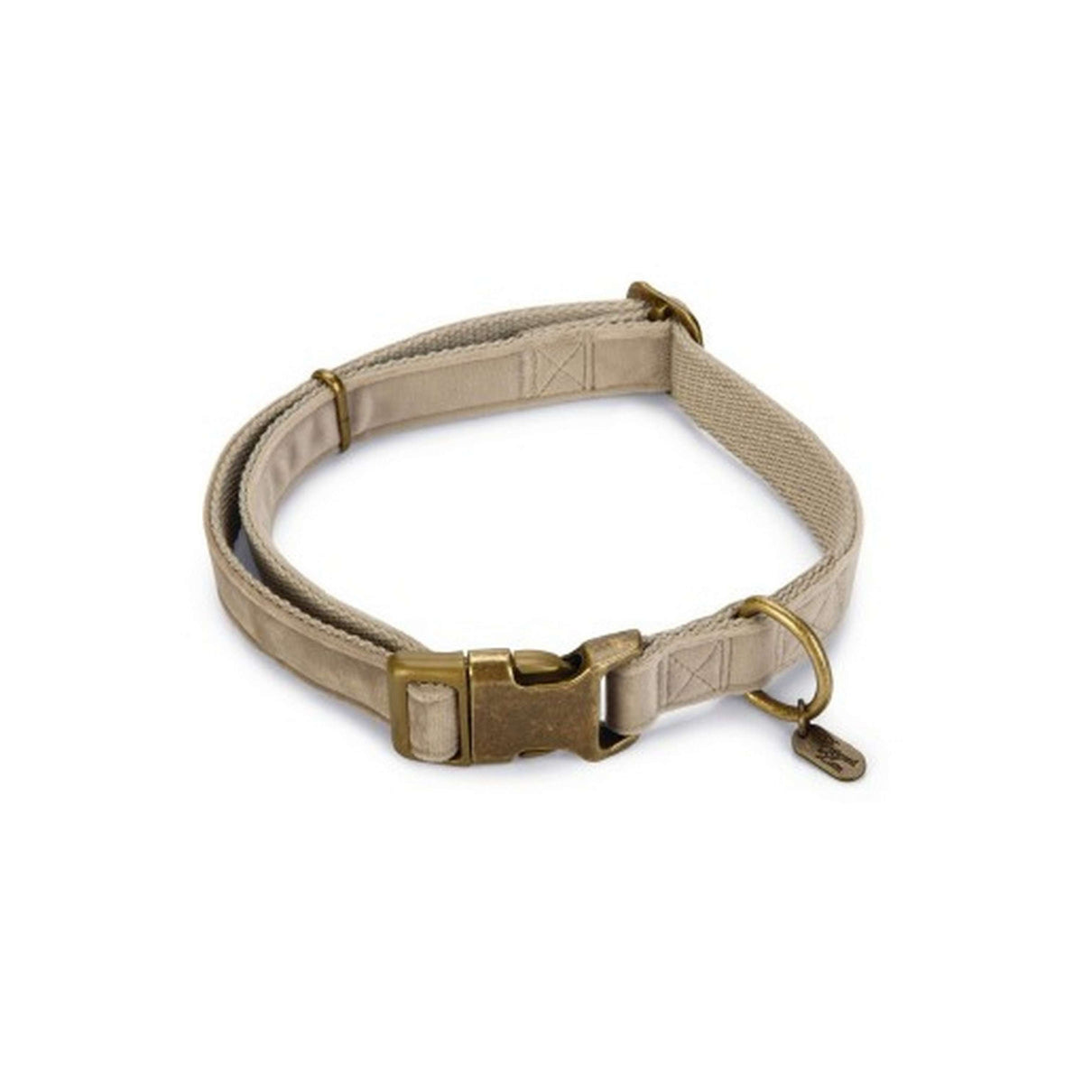 Designed by Lotte Collare per Cane Velura Grigio
