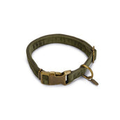 Designed by Lotte Collare per Cane Velura Verde