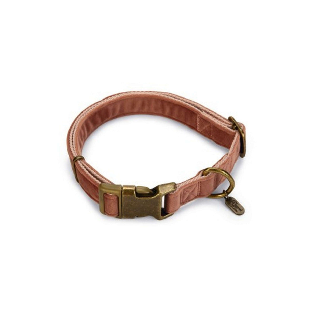 Designed by Lotte Collare per Cane Velura Rosa