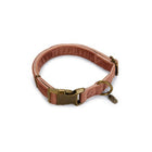 Designed by Lotte Collare per Cane Velura Rosa
