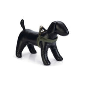 Designed by Lotte Pettorina per Cane Velura Verde