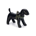 Designed by Lotte Pettorina per Cane Velura Verde