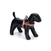 Designed by Lotte Pettorina per Cane Velura Rosa
