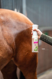 Bense & Eicke Deodorante per Cavalli