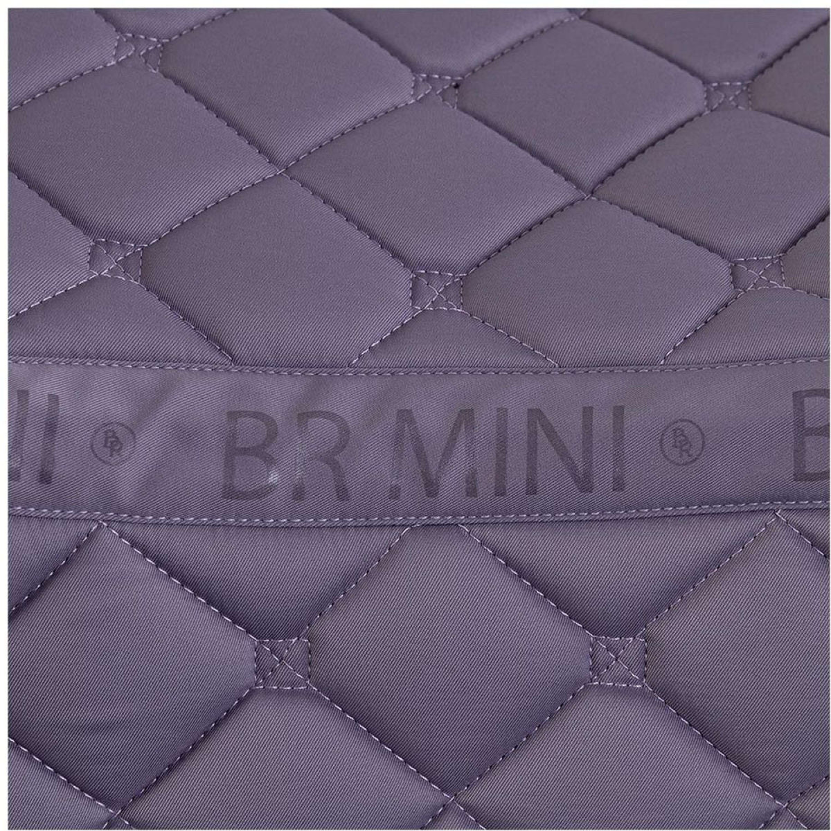 BR Sottosella Mini Horse Cadetto