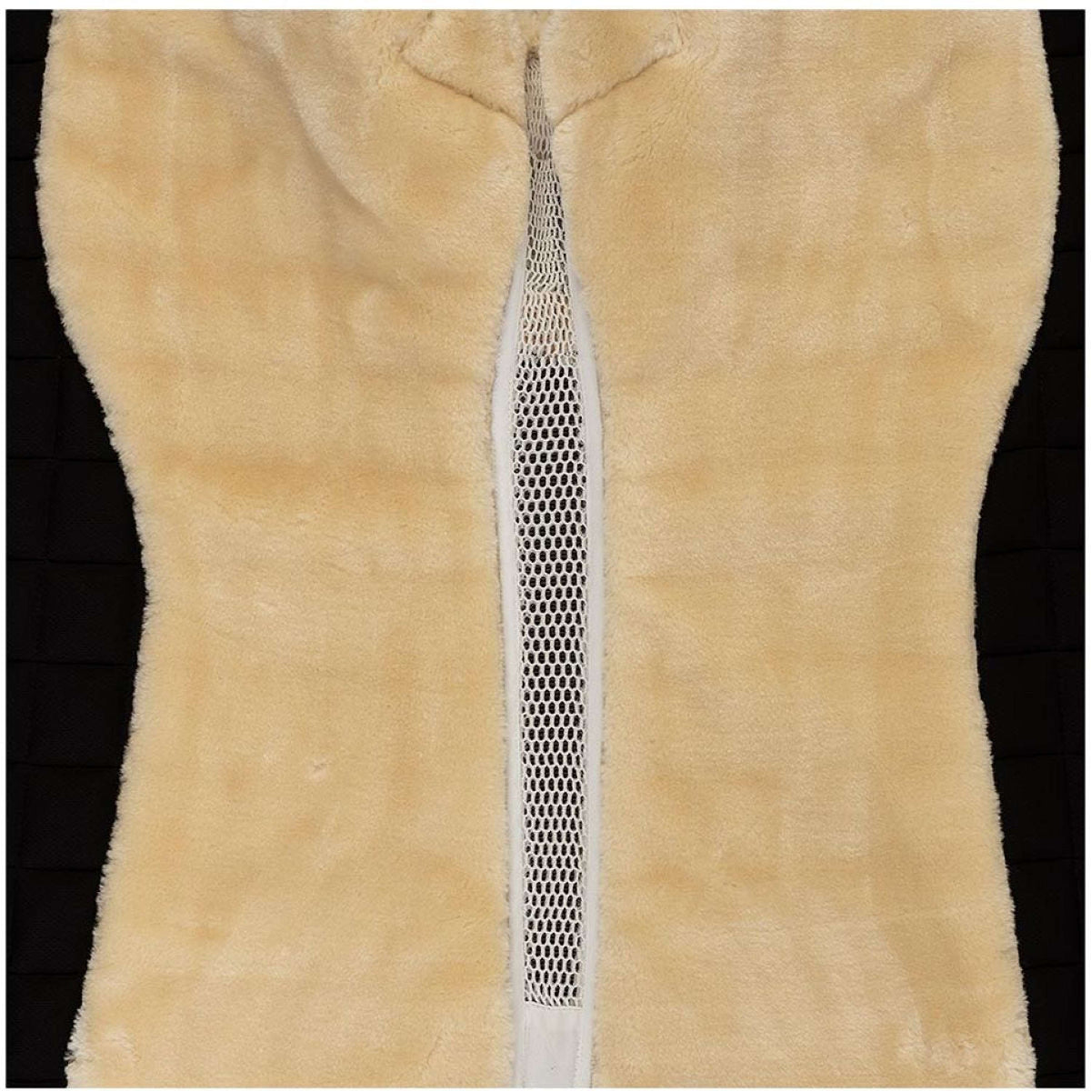 BR Sottosella Majeur II Dressage Snow White