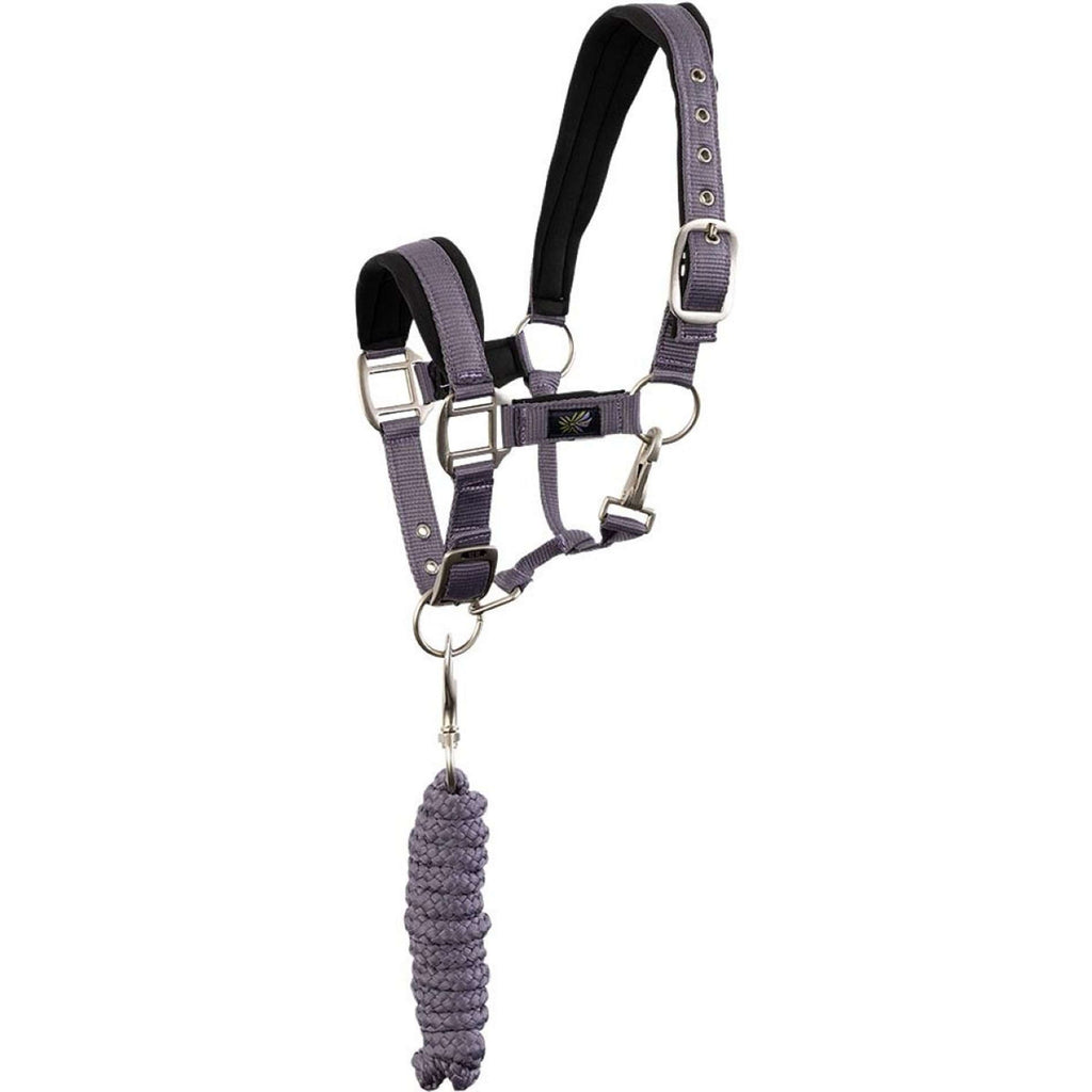 BR Set Cavezza Mini Horse Cadetto
