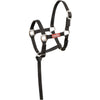 Premiere Set Cavezza per Puledro Brisk con Mini Lunghina Nero