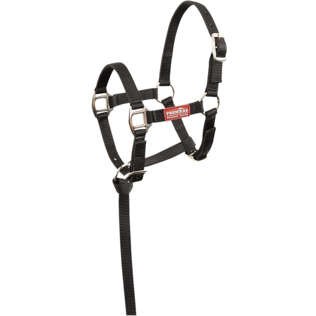Premiere Set Cavezza per Puledro Brisk con Mini Lunghina Nero