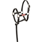 Premiere Set Cavezza per Puledro Brisk con Mini Lunghina Nero