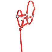 Premiere Set Capezzina per Puledro Brisk Con Mini Linea Pompeian Red