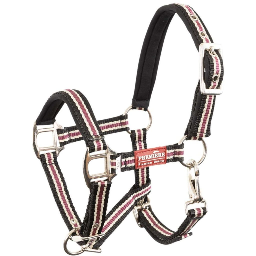 Premiere Cavezza per puledro Vivid Neoprene Nero/Beige/Rosso