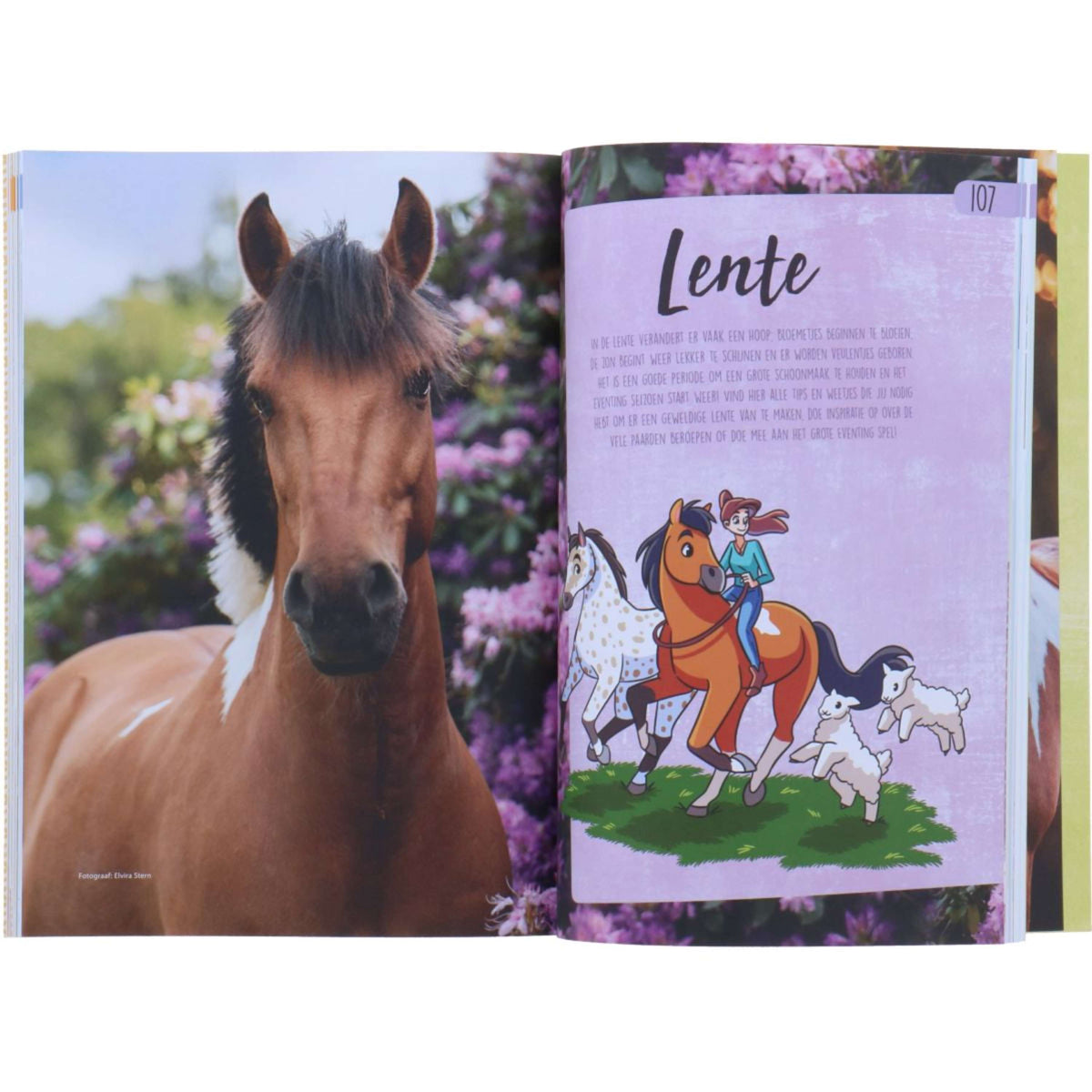 Hinniken Libro sui cavalli di FelineHoi
