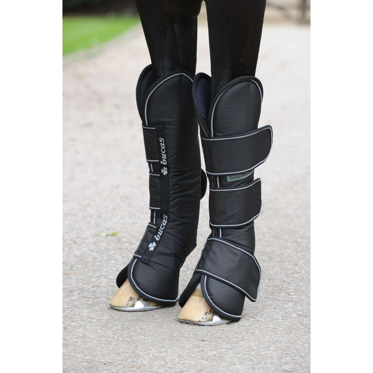 Bucas Stivali Freedom Nero