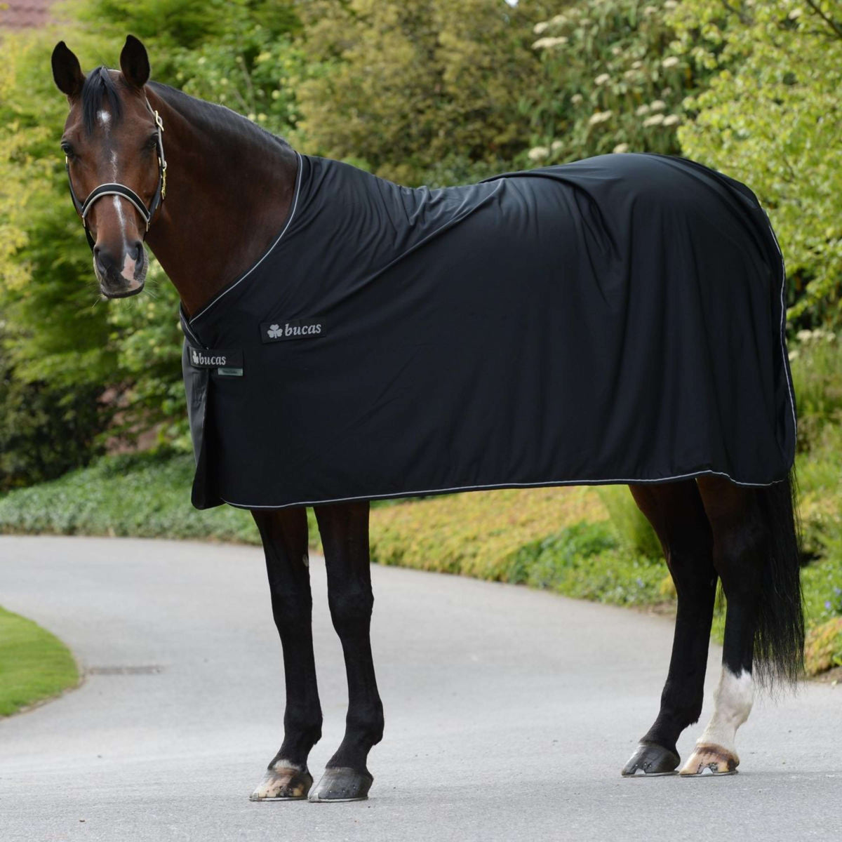 Bucas Price Cooler Pannello Black/Silver