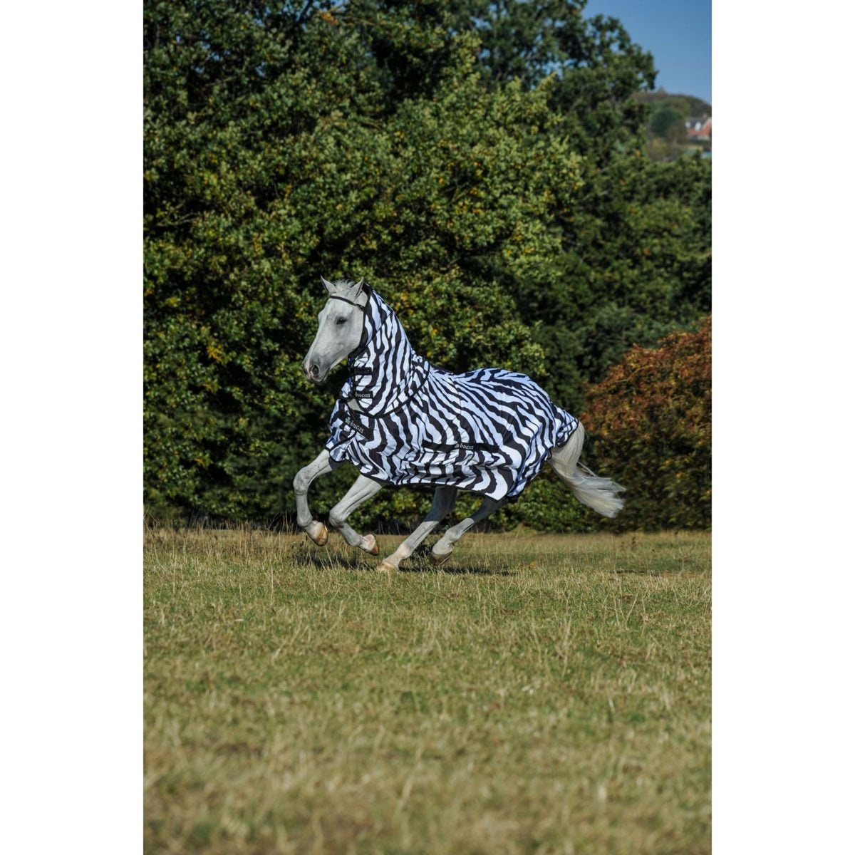 Bucas Coperta per Eczema Zebra