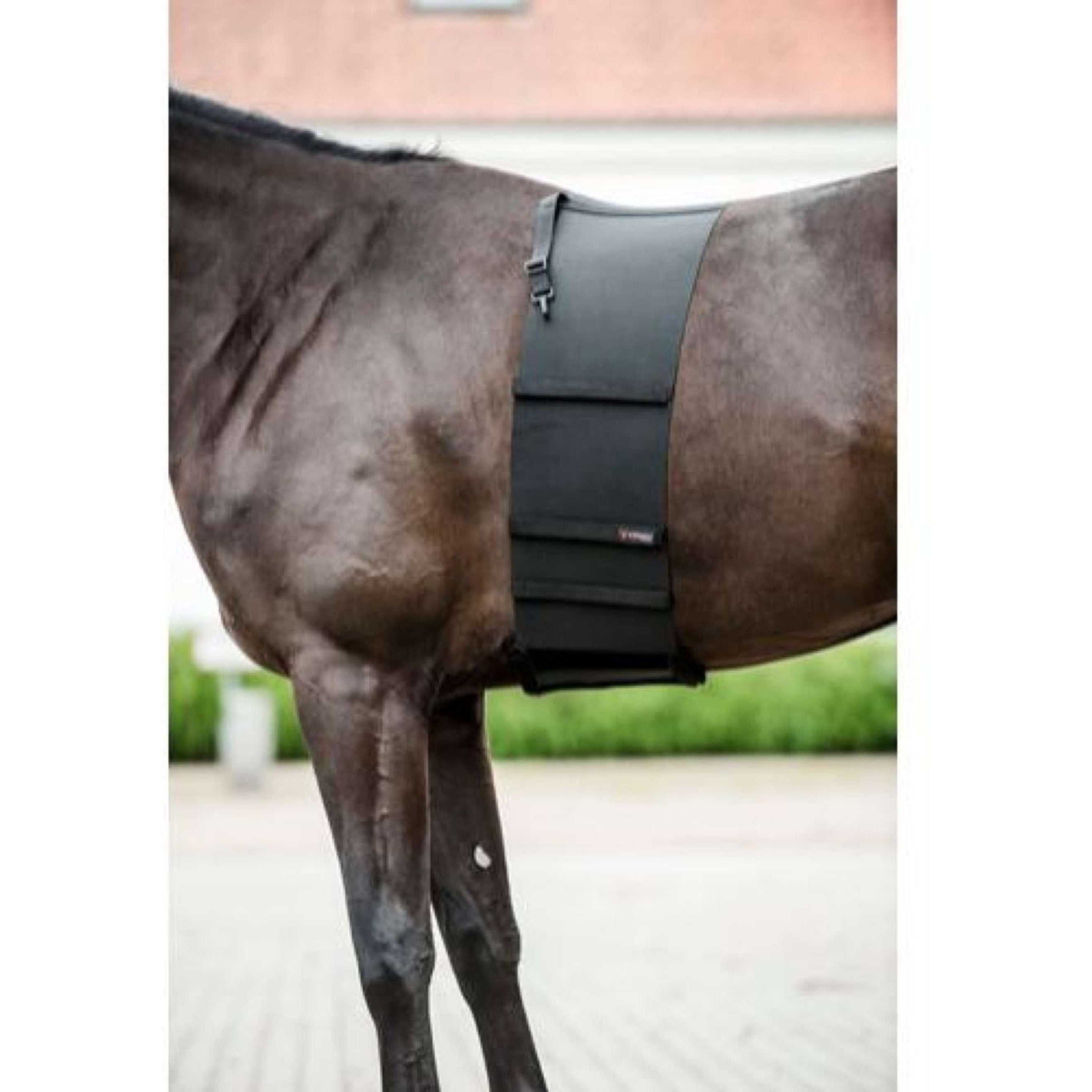 Catago Scudo Corporale Nero Catago Scudo Corporale Nero