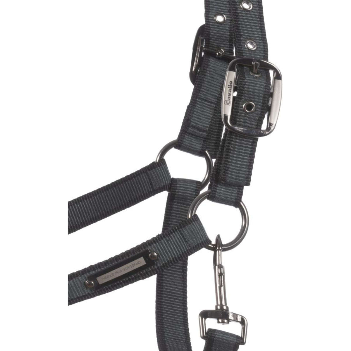 Cavallo Capezzina Caval Softshell Thyme