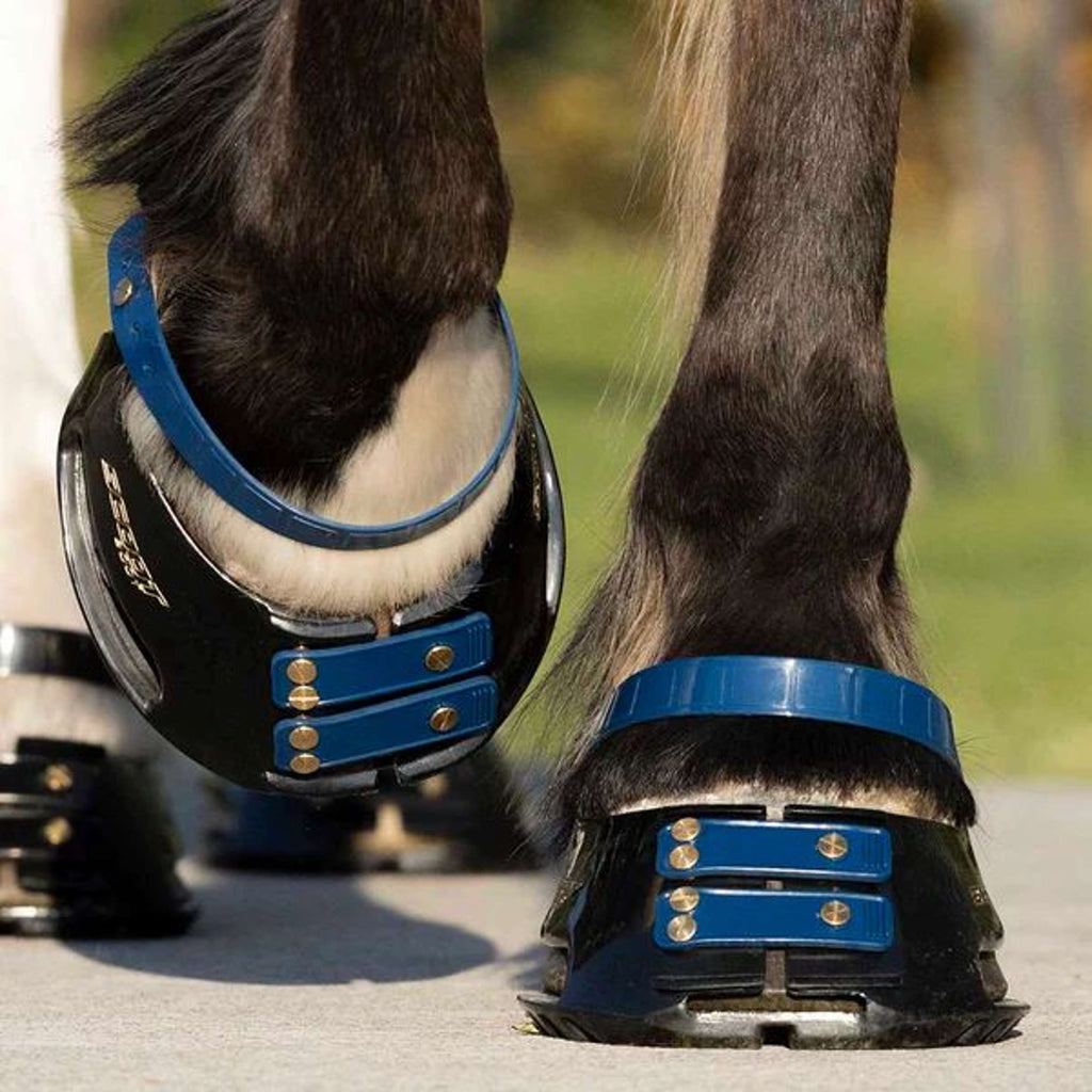 Scoot Boot Cinghia per pastorale Navy
