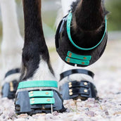 Scoot Boots Cinghia per pastorale Marine