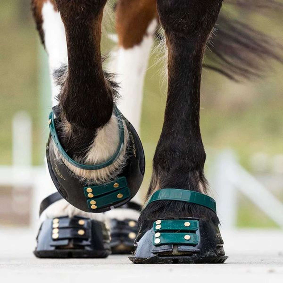 Scoot Boots Cinghia anteriore Smeraldo