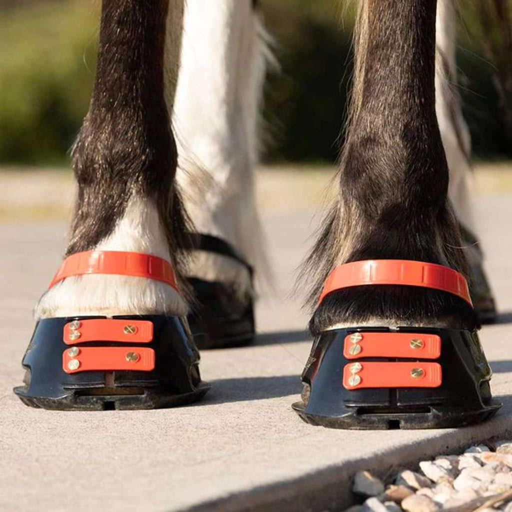 Scoot Boot Cinghia anteriore Hibiscus