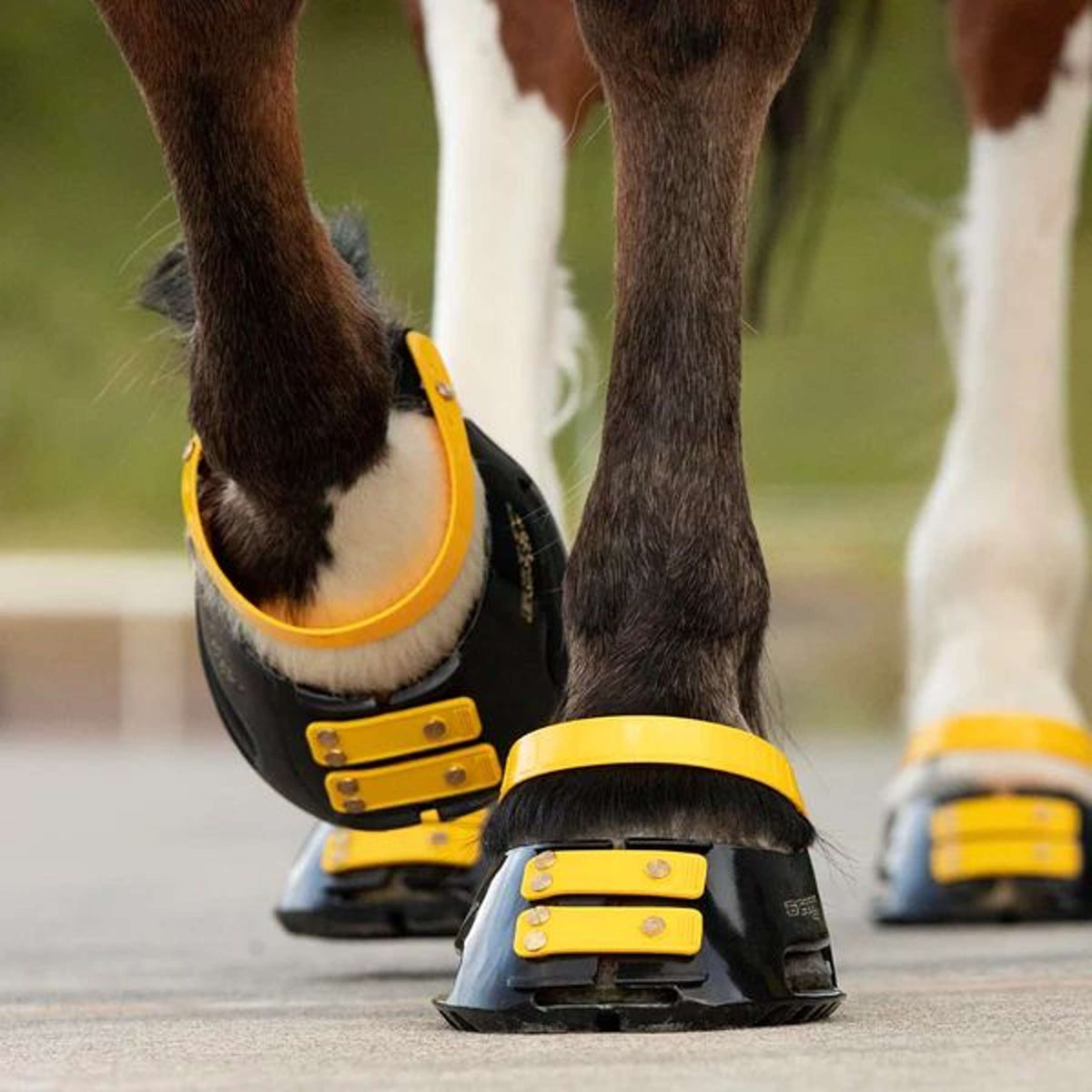 Scoot Boots Cinghia per pastorale Marigold