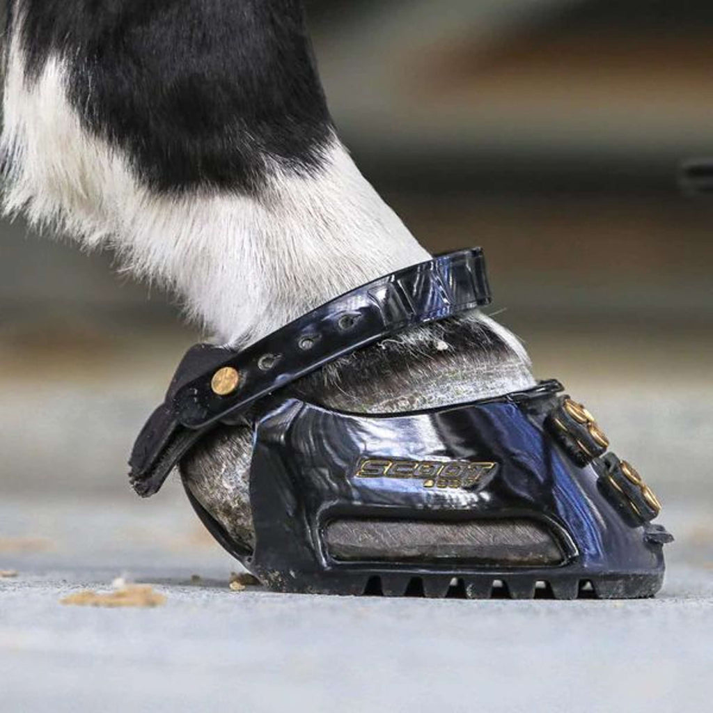 Scoot Boot Ferratura Slim Single Nero