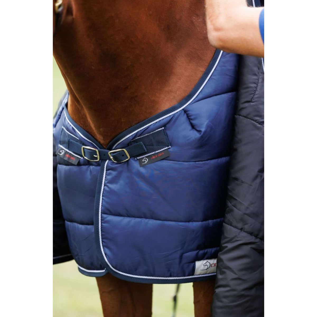 Dominick Tappeto da Esterno Turnout Lite 0g Blu marino/bianco