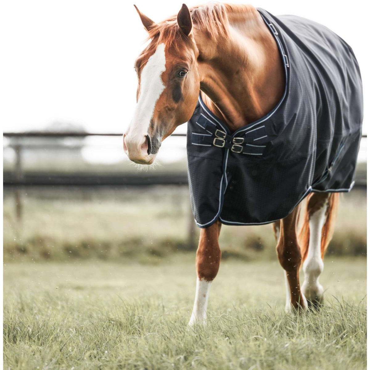 Dominick Tappeto da Esterno Turnout Lite 0g Blu marino/bianco