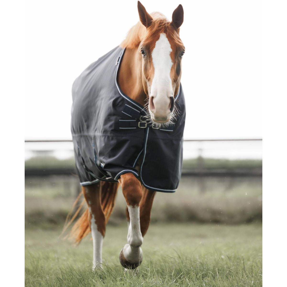 Dominick Tappeto da Esterno Turnout Lite 0g Blu marino/bianco