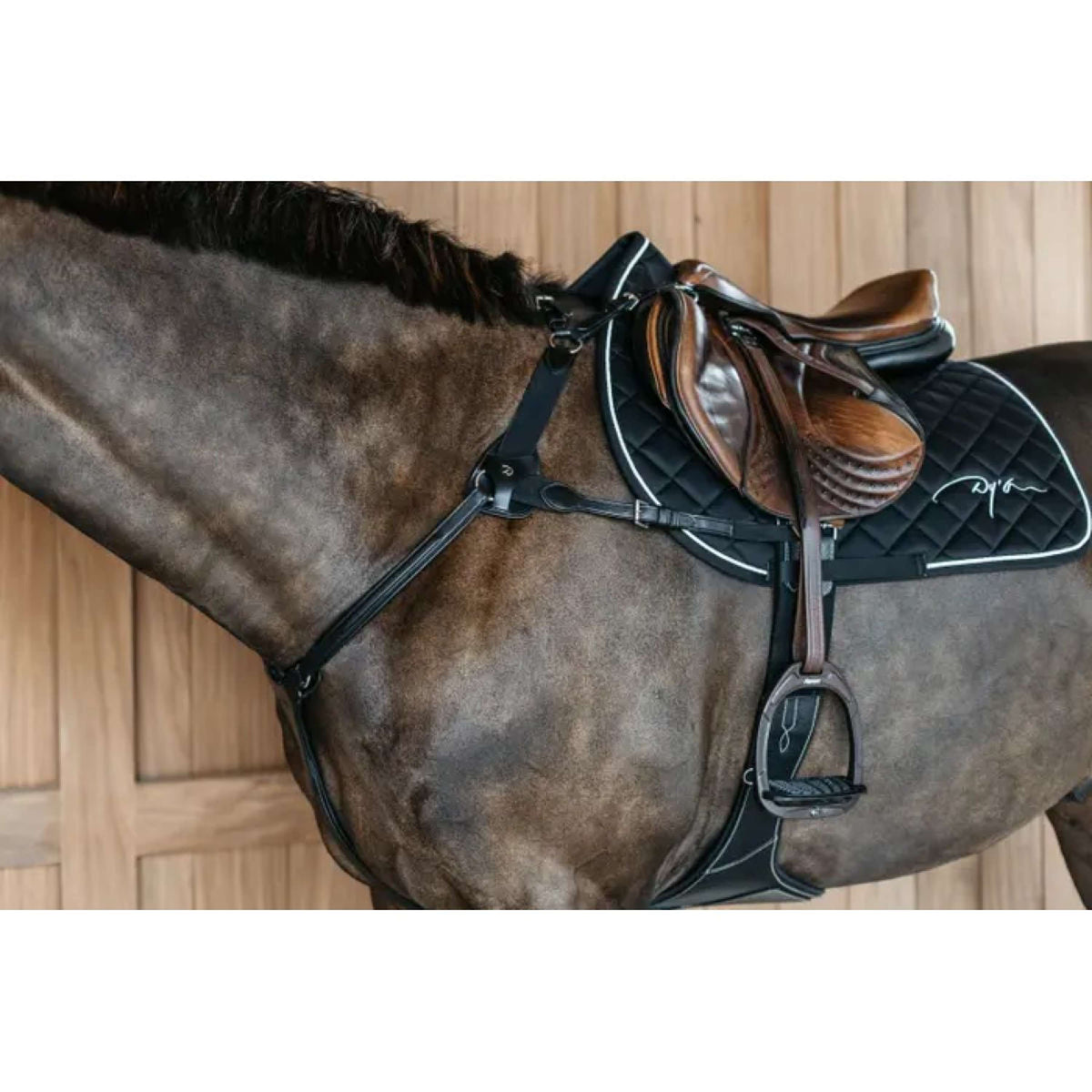 Dyon Pettorina 5 points New English Nero