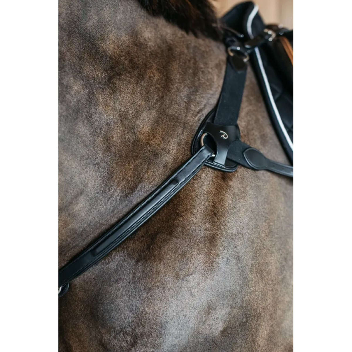 Dyon Pettorina 5 points New English Nero