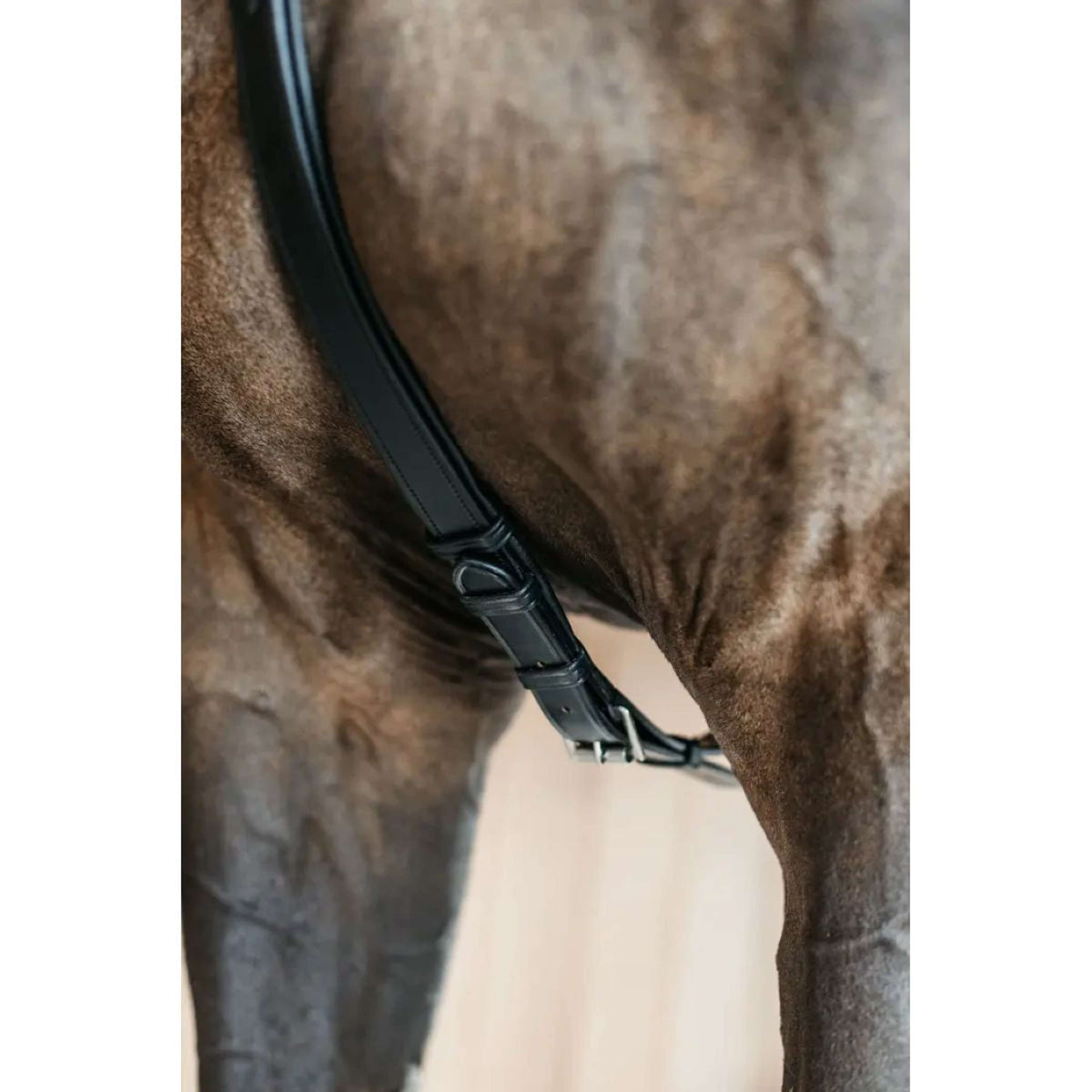 Dyon Pettorina 5 points New English Nero