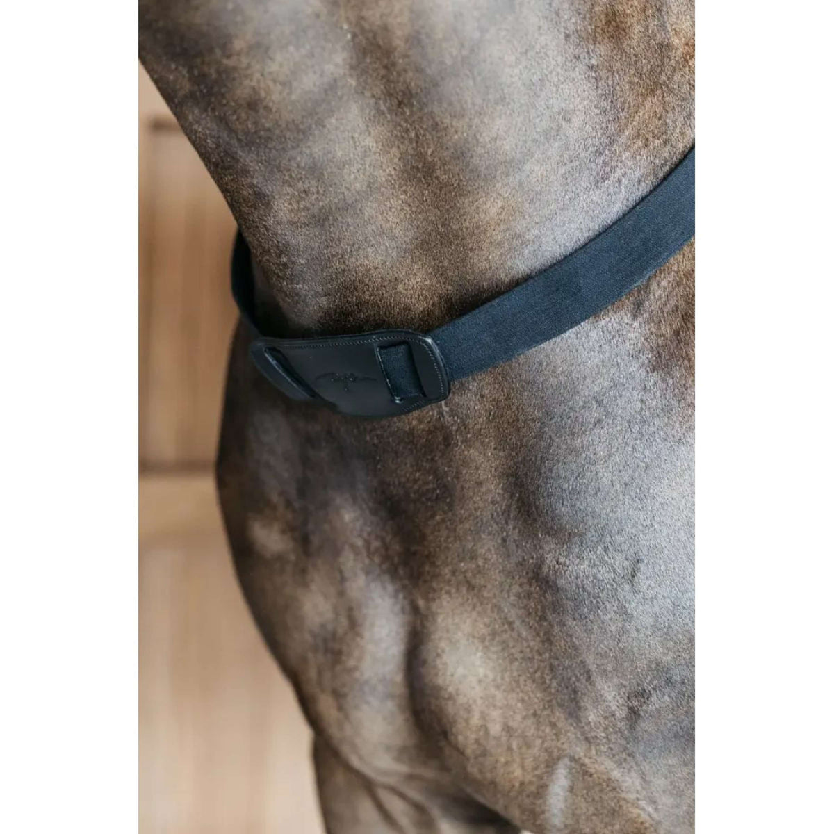 Dyon Pettorina New English Nero