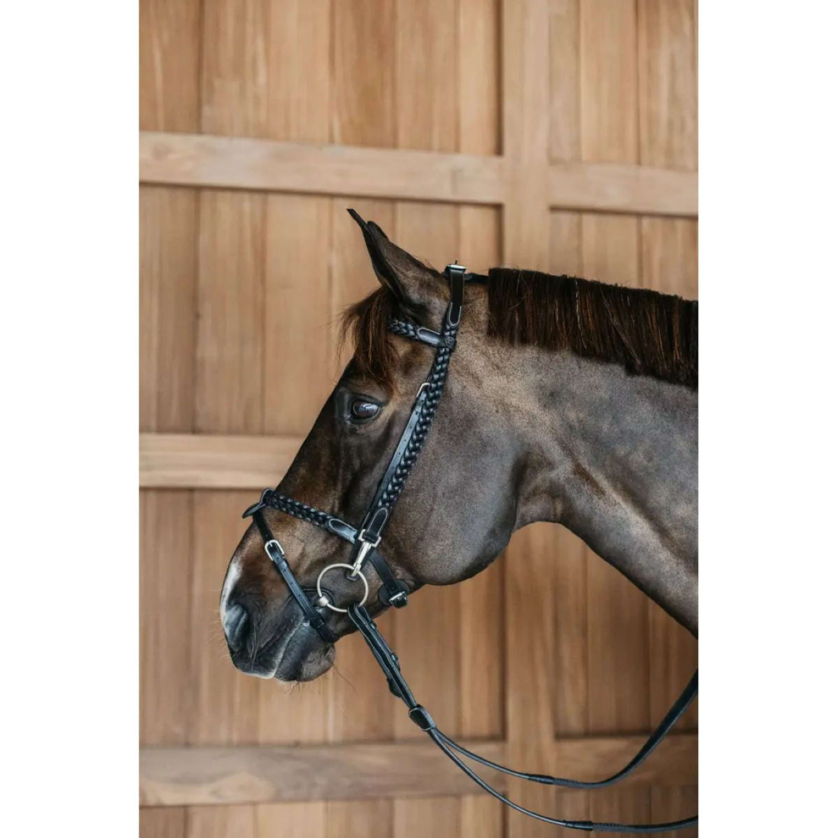 Dyon Briglia Training Nero