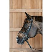 Dyon Briglia Training Nero